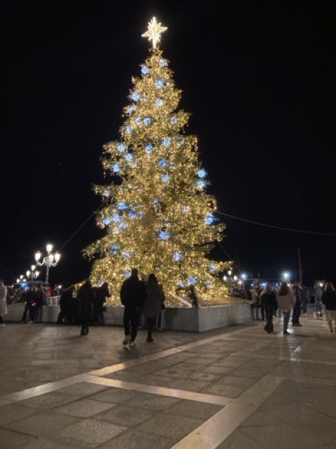 Christmas tree in St Marks Square, Venice, Italy